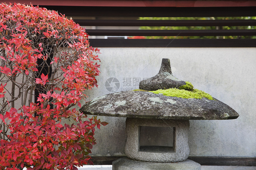 日本 秋色的高山石灯和灌木文化灯笼衬套季节枫树神社花园图片