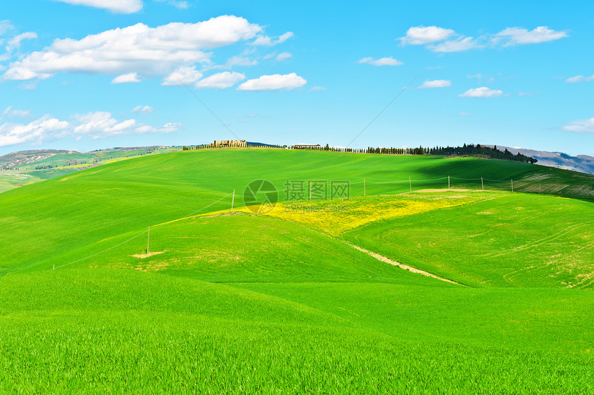 草地场地种子土地阳光小麦地面植物小路牧场房子图片