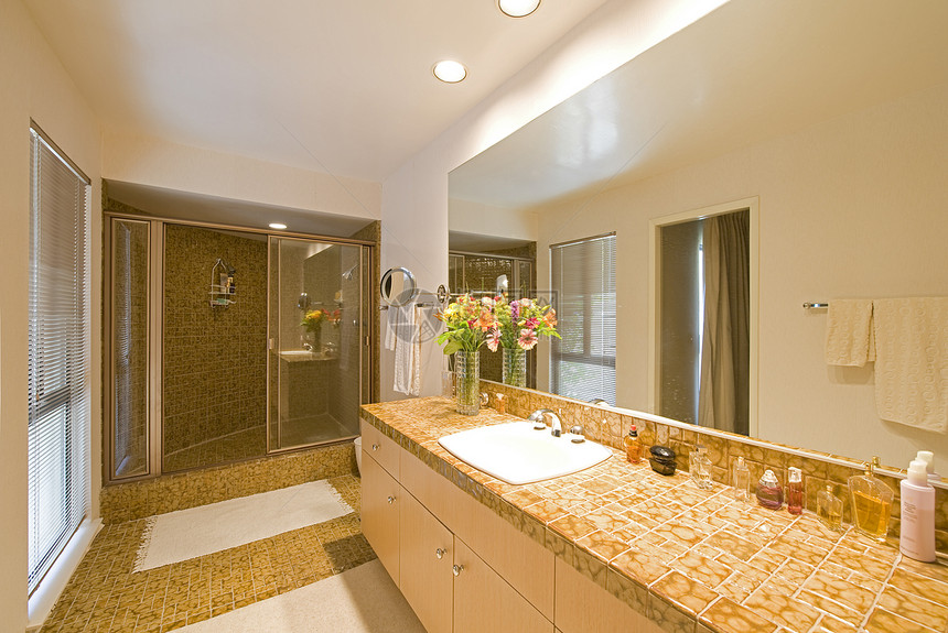 厕所室内浴室龙头花朵奢华镜子水槽内饰建筑学橱窗反射图片
