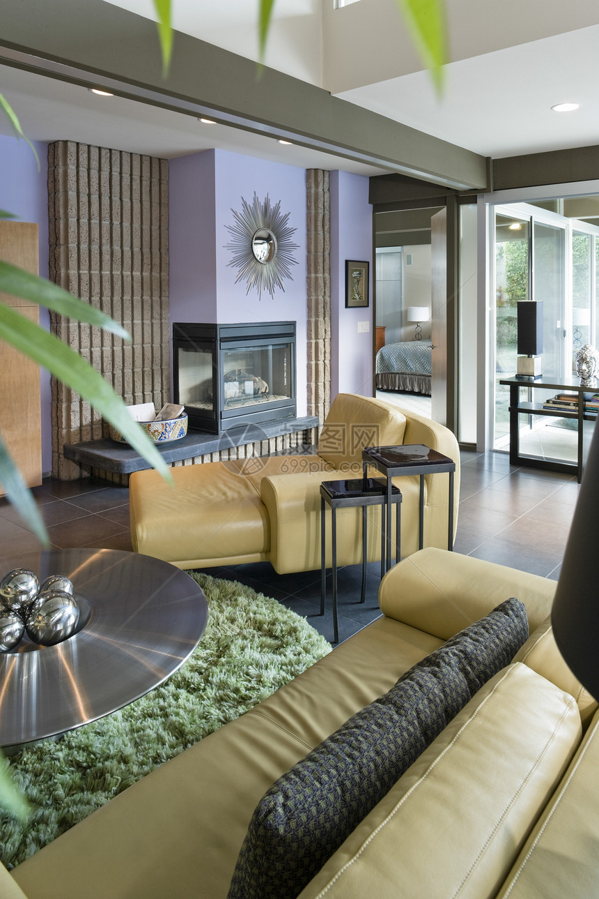 现代客厅建筑学盆栽金属内饰地毯橱窗家具茶几枕头图片