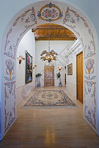 高级入口厅壁画地毯绘画吊灯建筑学橱窗花卉抛光图案大厅背景图片