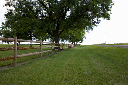 圣路易斯密苏里的田地围栏背景图片