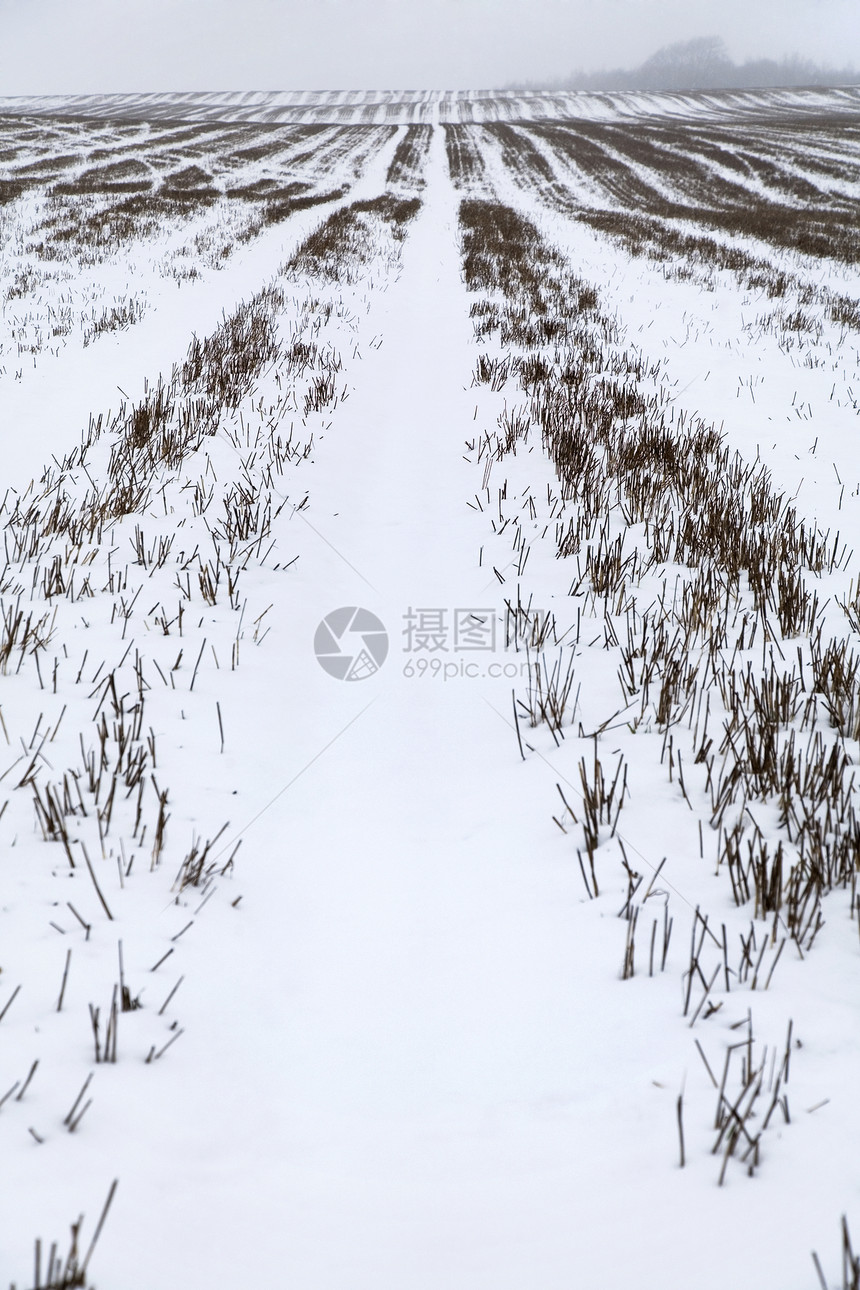 英格兰肯特的雪覆盖了地表田园风光场地农村场景图片