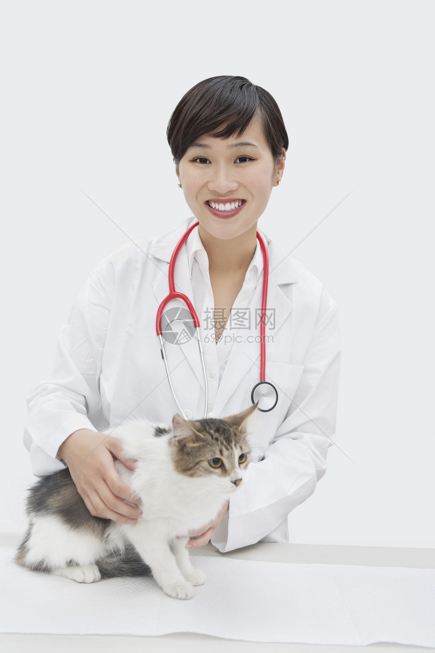 灰色背景的猫性女性兽医肖像图象图片