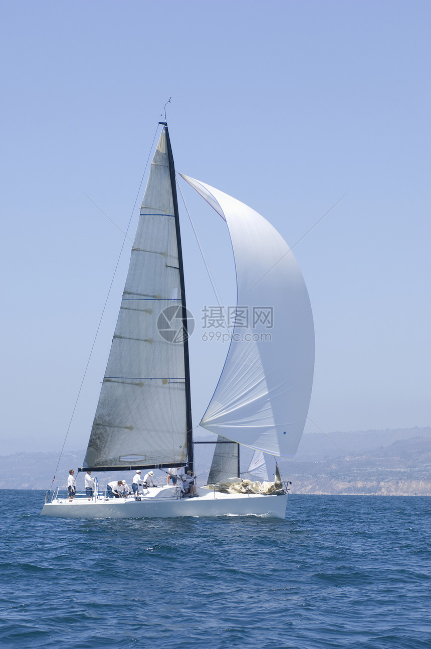 加利福尼亚州游艇赛队帆船比赛海洋运动白色岬角全体水车天空日光蓝天运输图片