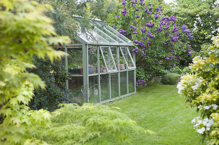 斯特里汉姆温室后花园 有开放的通风窗户建筑灌木丛结构草地玻璃园艺英语玻璃板园林外观背景