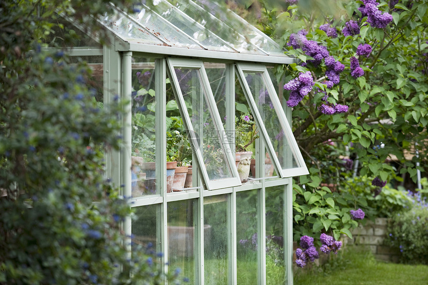 温室后花园 有开放的通风窗户园林玻璃板结构英语材质玻璃外观建筑盆栽棚园艺图片