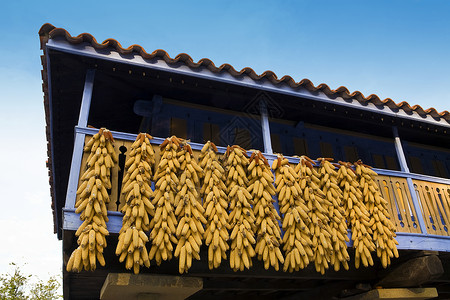 在阳台上悬在干燥的玉米鳕的低角视图高清图片