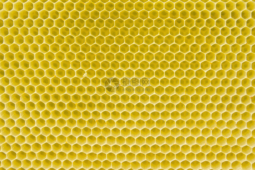 蜂窝模式梳理细胞荒野蜂蜡表扬昆虫金子食物药品六边形图片