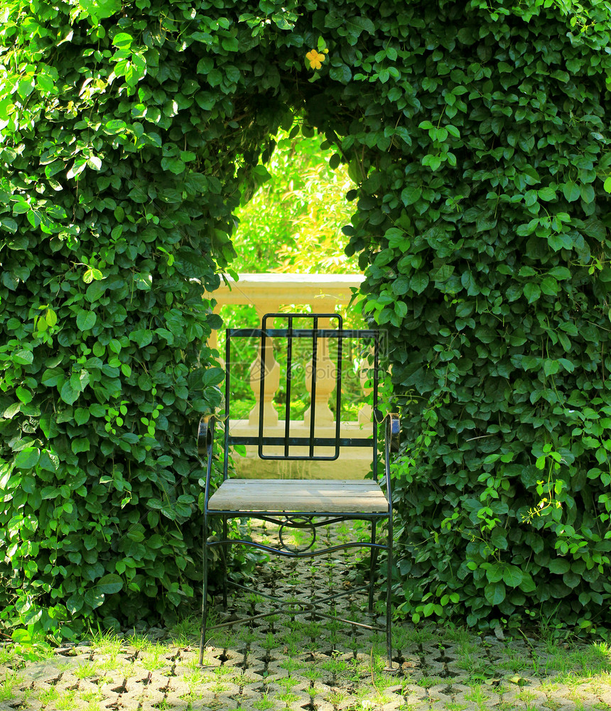 花园里的金属椅子图片