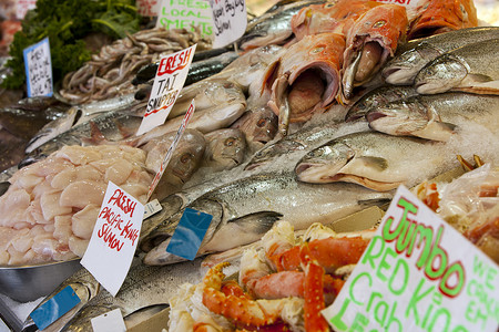 鱼市场上展示的鱼背景图片