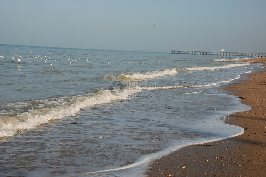 桑迪海滩海洋海岸图片