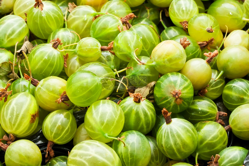 鹅莓甜点浆果水果营养宏观食物绿色白色团体图片