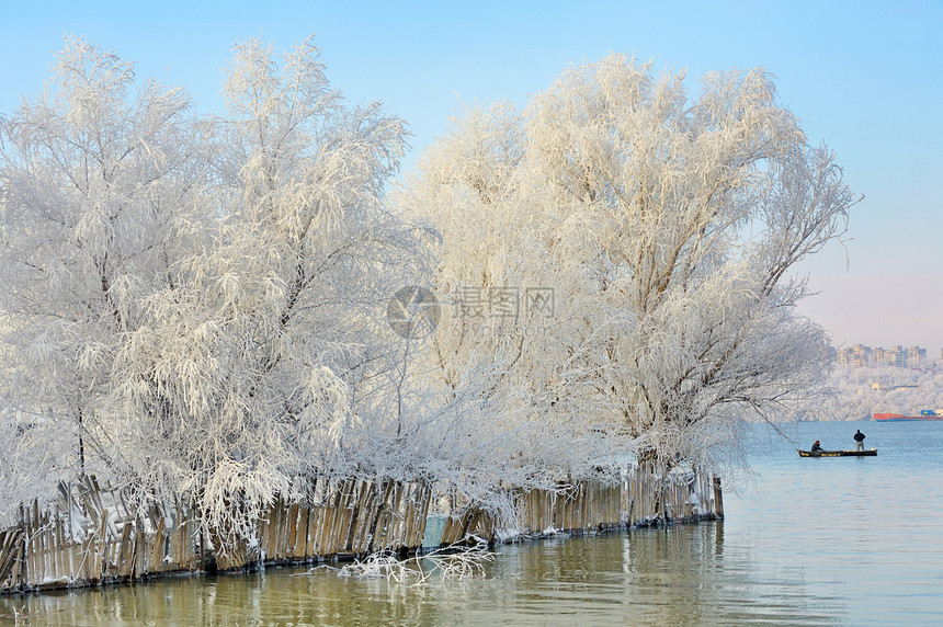 冷冻的树木桦木公园日落反射农村天气森林气候橡木旅行图片