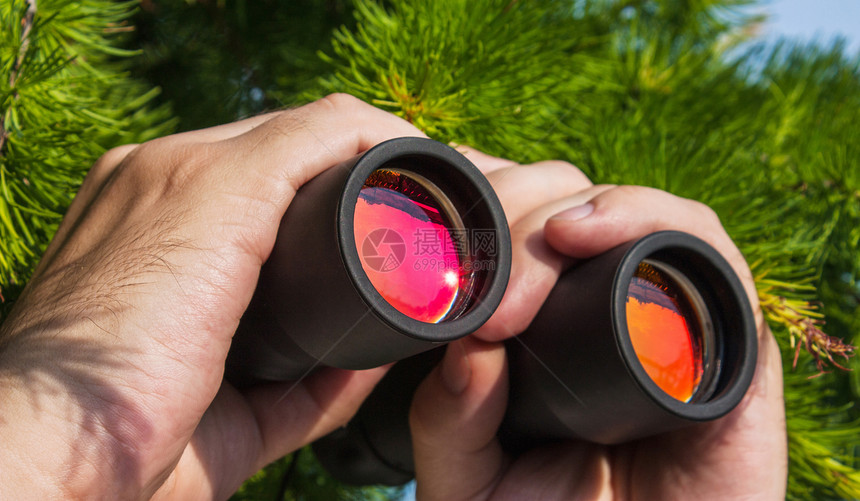 使用望远镜观看职业公园绿色植物监视树木灌木丛男人眼镜风景图片