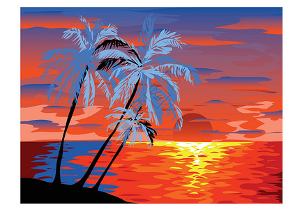 日落时椰枣树冲浪木板鸟类闲暇冲浪者太阳男人休闲海鸥热带设计图片