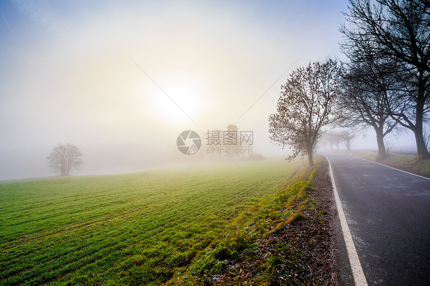 通往日出的农村迷雾道路车道场景地平线天气旅行魔法路线驾驶天空晴天图片