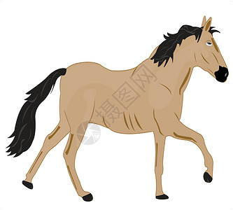 腊蹄子说明一匹马插画