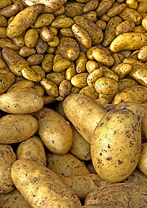 新收获的马铃薯土豆食物烹饪收成市场棕色盒子产品淀粉背景图片