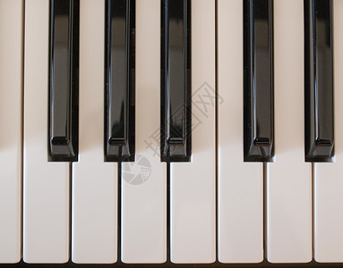 音乐键盘键白色黑色器官钢琴大键乐器钥匙背景图片