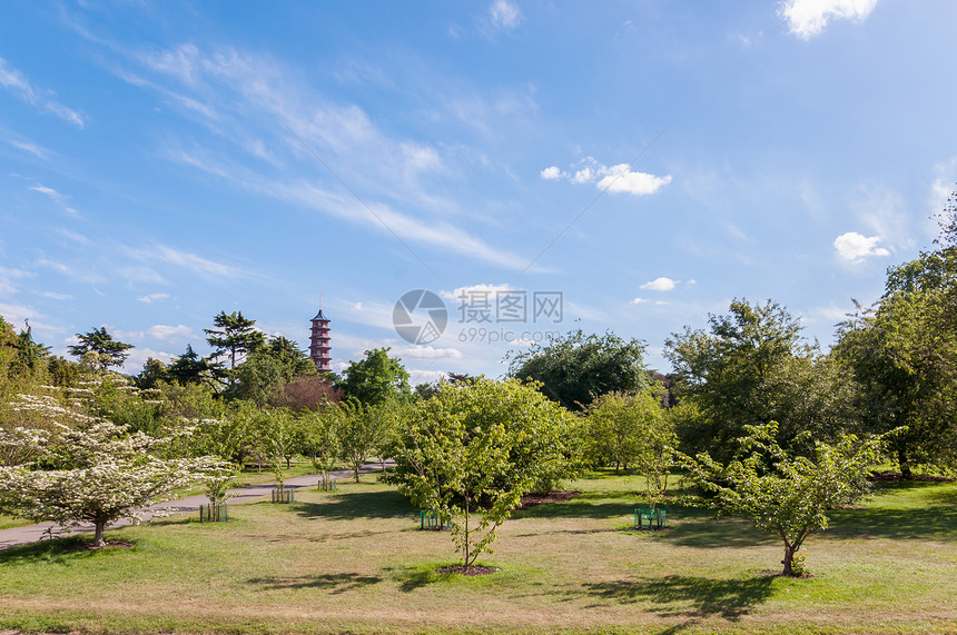 树木 小巷和塔植物公园旅游地标建筑王国晴天宝塔文化花园图片