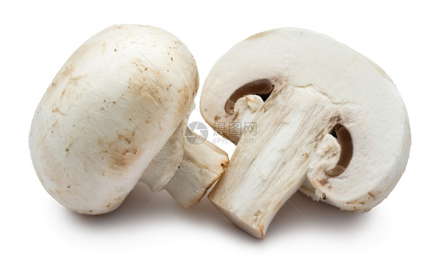 香农蘑菇美食食物茶点蔬菜宏观蘑菇营养团体白色图片