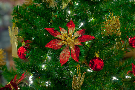 圣诞节装饰季节节日红色背景图片