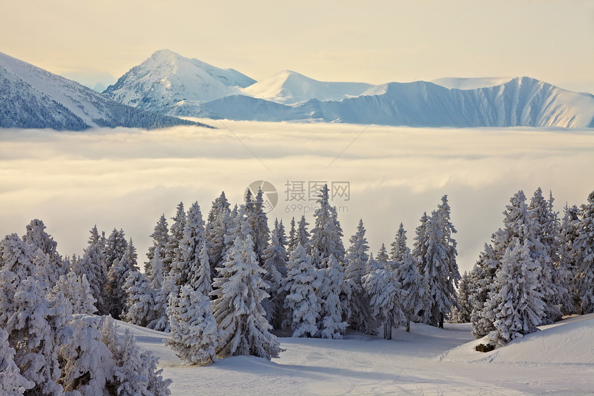山山脉旅行季节宽慰山脉全景土地森林冒险滑雪假期图片