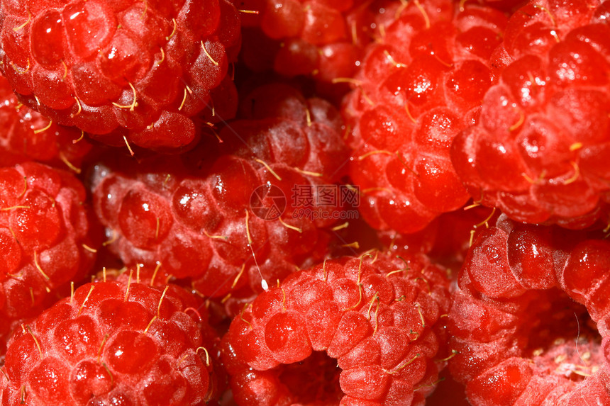 树莓草莓诱惑水果荒野宏观红宝石季节营养种子饮食食物图片