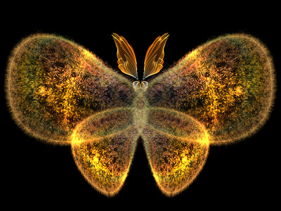 蝴蝶设计辉光动物昆虫插图航班创造力翅膀渲染元素生物学背景图片