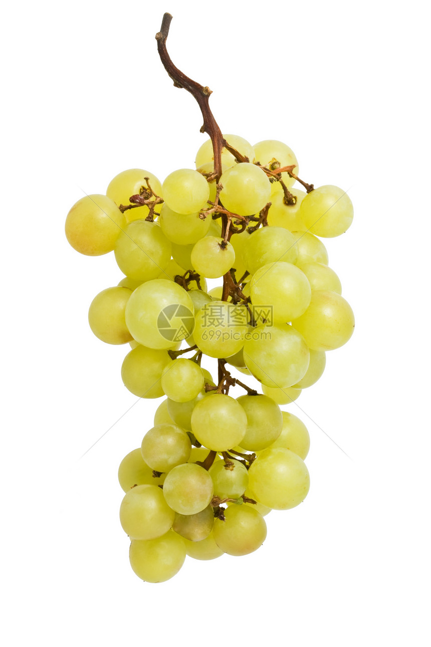 葡萄白色收成酒厂藤蔓甜点食物绿色农业营养浆果图片