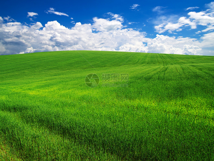 绿绿地植物牧场土地地平线草地生长场景国家蓝色农场图片