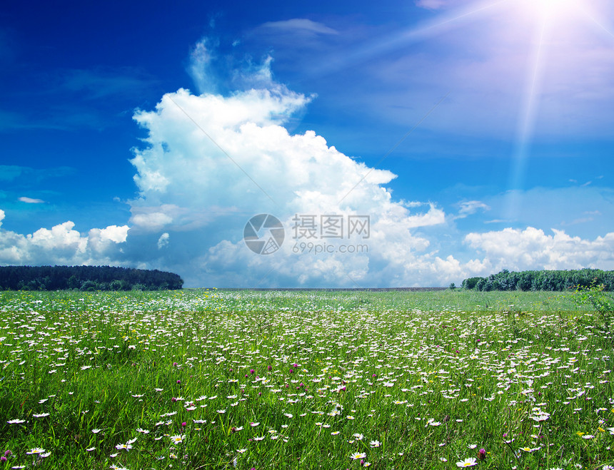 绿绿地牧场农场草原太阳晴天地平线远景场地阳光天堂图片