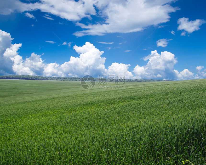 绿绿地农场场景晴天阳光地平线天气太阳蓝色牧场季节图片