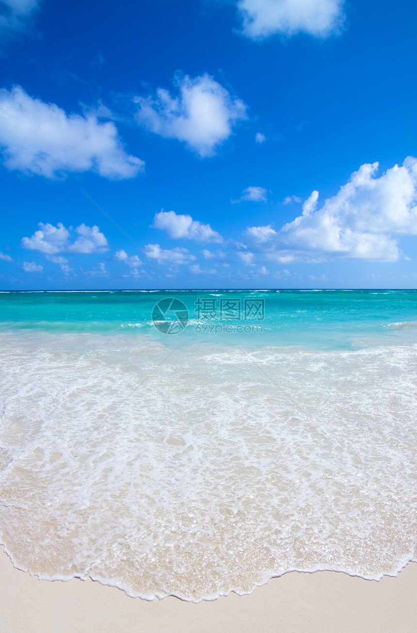 热带海洋波纹太阳日落天空旅行海浪气候地平线风景椰子图片