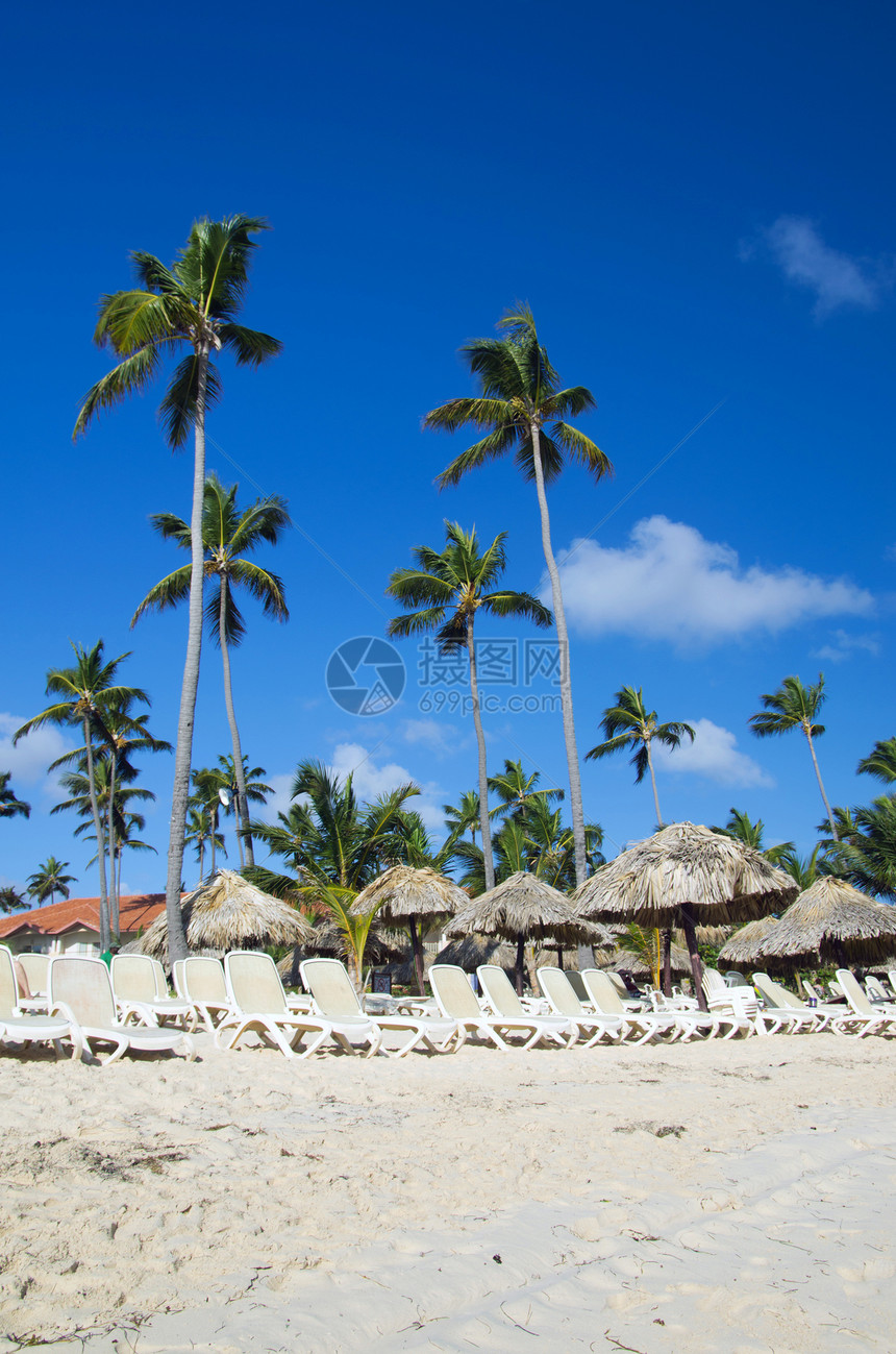 加勒比海滩椰子海浪棕榈植物蓝色热带太阳晴天风景海景图片