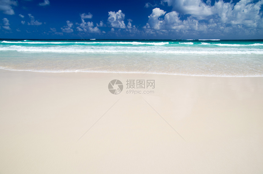 加勒比海滩海浪假期太阳海洋旅游蓝色阳光海景风景棕榈图片