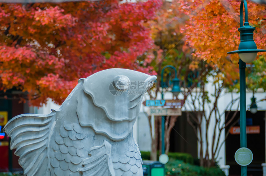 Charlotte 城市天线秋季季节建筑物数控季节性天际景观住宅区雕塑纪念碑植物树木图片