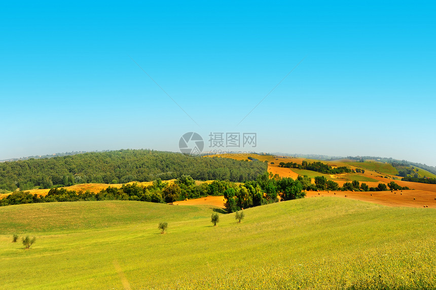 横向景观地平线天空收成森林植物草原农场保释葡萄园草地图片