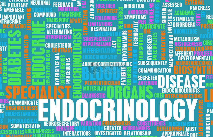 内分泌学医疗器官专家药品研究糖尿病保健术语治疗教育图片