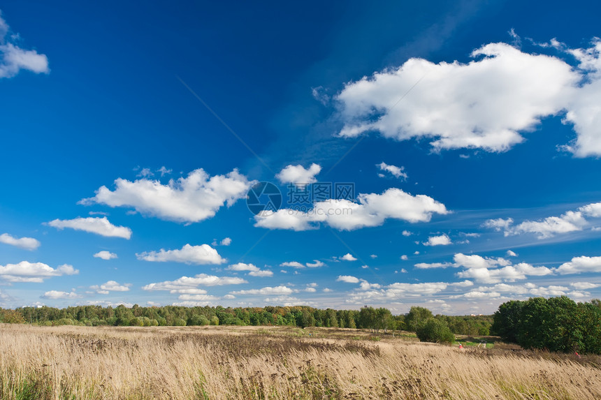 秋季实地农村场地太阳乡村地平线天空国家蓝色季节牧场图片