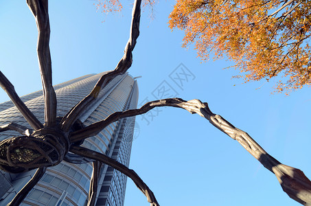 六六日本东京Roppongi山上的蜘蛛雕像背景
