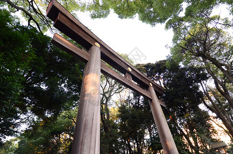 东京圣堂入口处的托里门访问公园佛教徒入口原宿寺庙观光建筑学牌坊森林背景图片