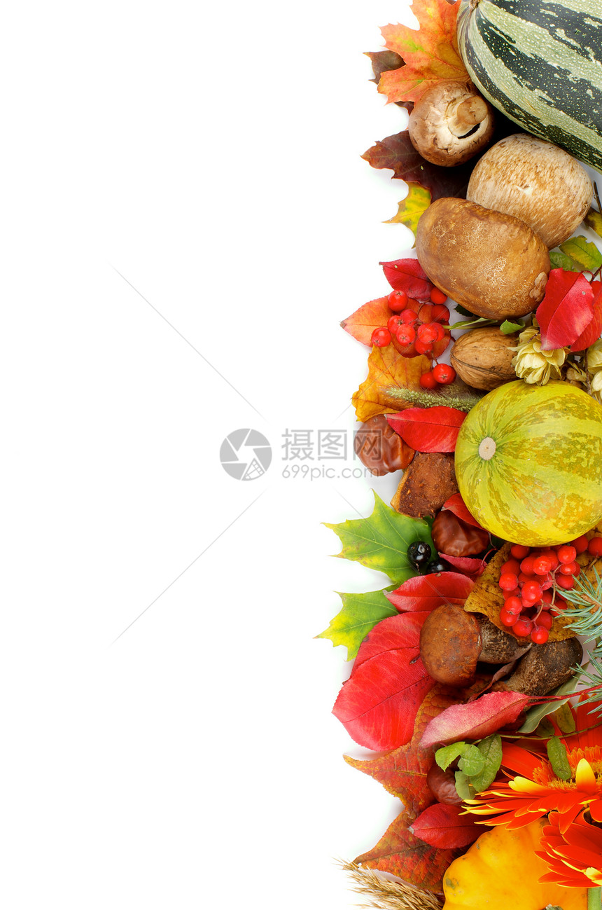 秋季框架南瓜纹理季节食用菌浆果叶子核桃板栗橙子枫叶图片