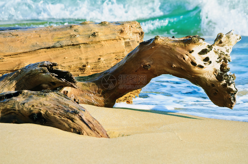 转轮海洋支撑冲浪海岸线木头海滨波浪状湖岸海浪海岸图片