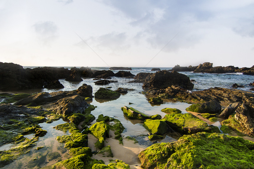 葡萄牙萨格雷斯海岸沿岸地区支撑海洋海岸线苔藓波浪岩石海滩图片