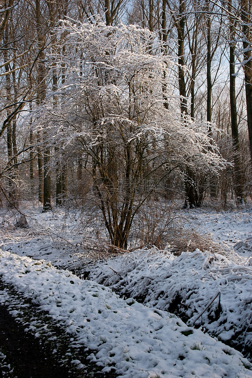 冬季风景 - 2007年图片