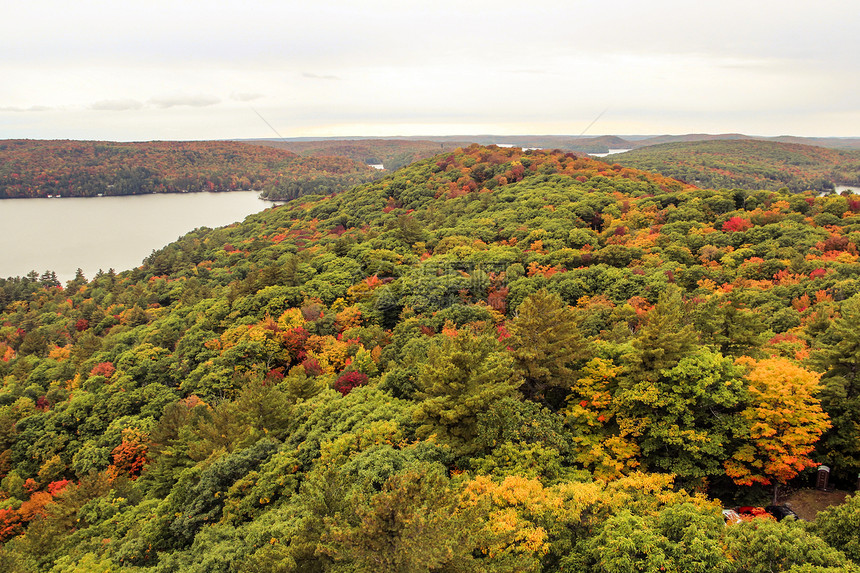 秋天Algonquin国家公园天空森林娱乐季节踪迹风景树叶场景远足叶子图片