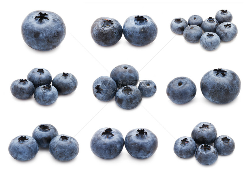 蓝莓套件植物浆果黑色饮食覆盆子营养蓝色水果白色生产图片