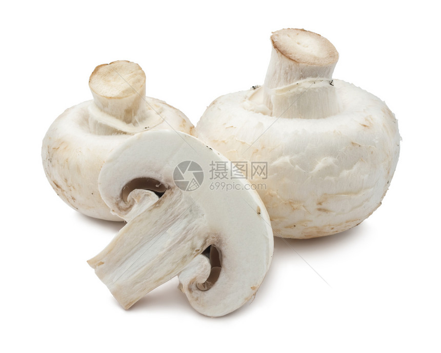 香农蘑菇宏观蘑菇团体营养茶点美食蔬菜食物白色图片